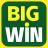 bigwindota.com favicon